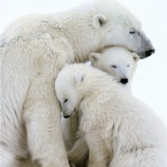 Welcome to my Closet!😊🌿 - Picture 1 of 1